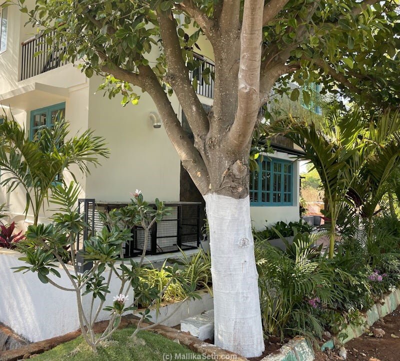 Renovation and interiors for a villa at Krishnaja Greens, Bangalore